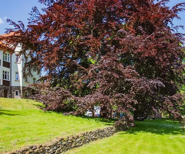 鹏斯吉纳特米默兹酒店 住宿加早餐酒店 Świeradów-Zdrój